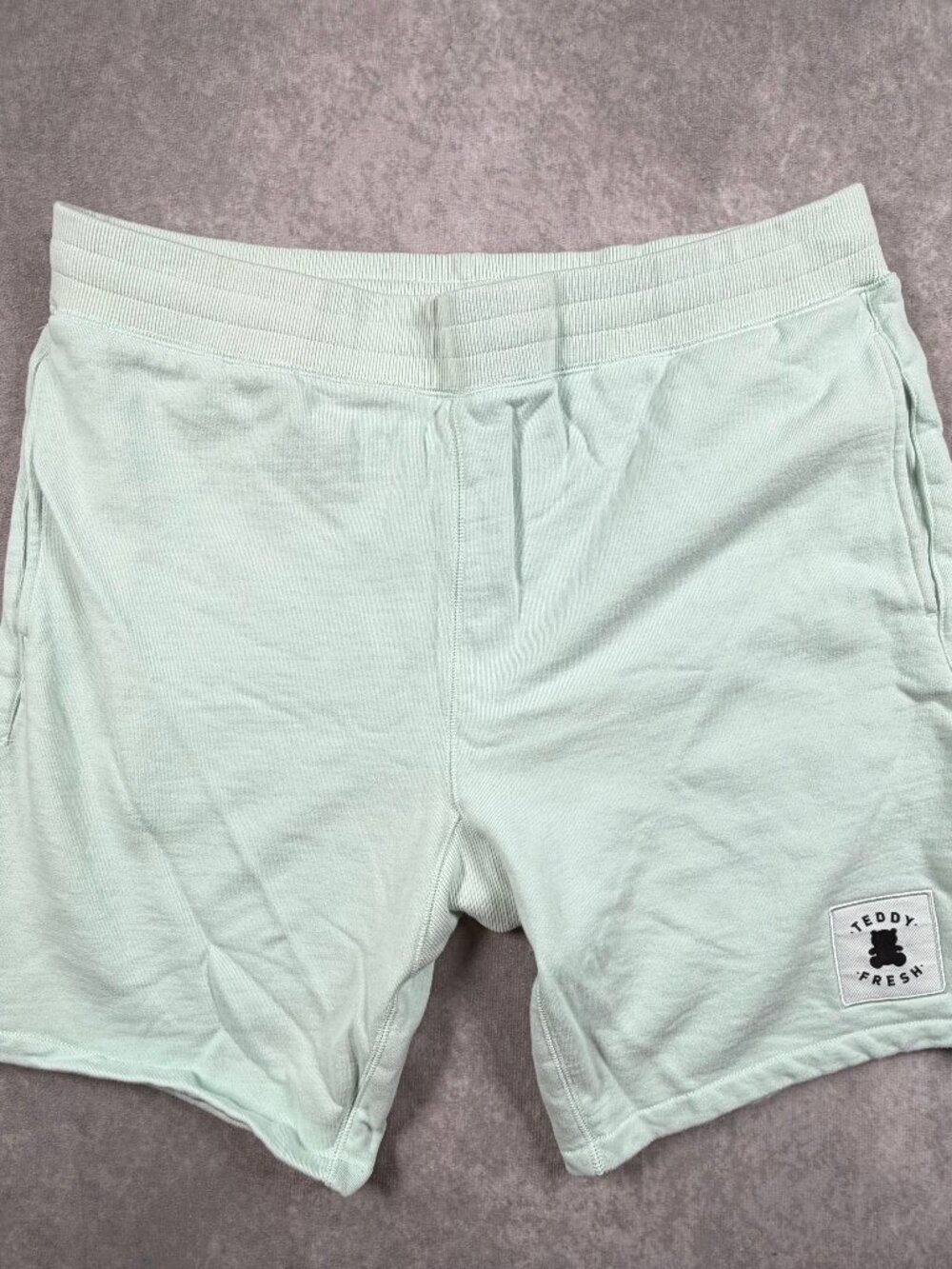 Teddy Fresh Mens 100% Cotton Fleece Shorts Mint Green Drawstring 2XL
